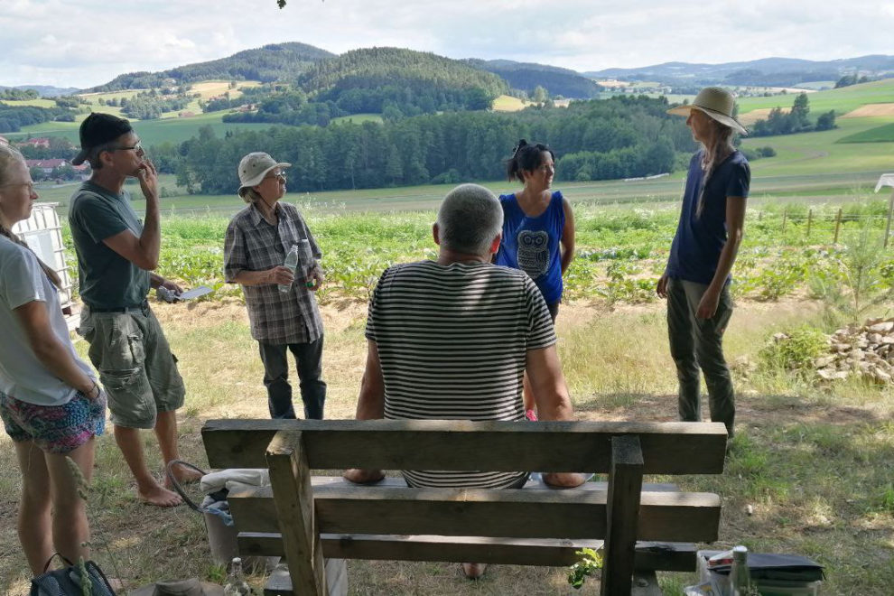 Mitmachaktion jedes Wochenende Mitmachaktion