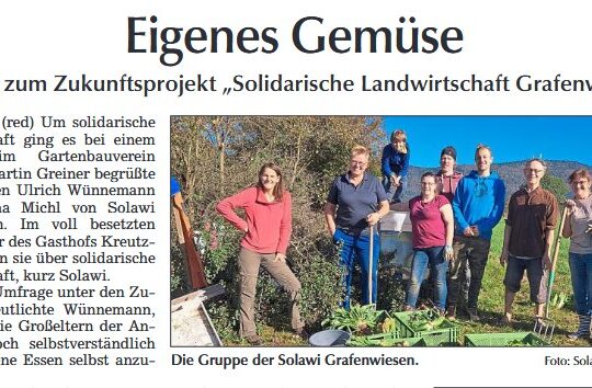 Eigenes Gemüse, Artikel, Bild